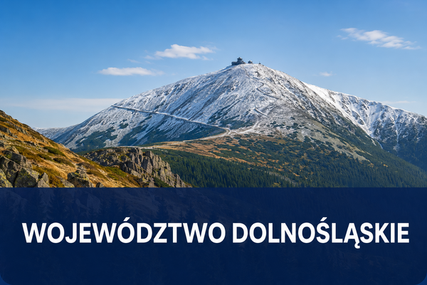 Dolnośląskie fenix dotacje