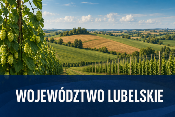 Dotacje dla firm województwo Lubelskie Fenix