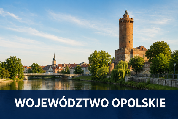 Dotacje dla firm województwo Opolskie Fenix