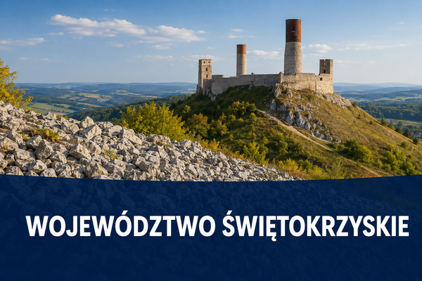 Dotacje dla firm województwo Świętokrzyskie Fenix