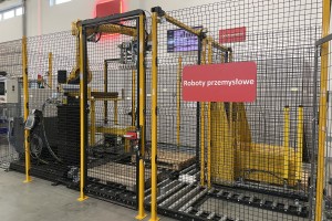 robot paletyzcja paletyzujący