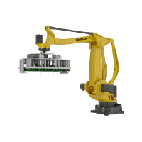 Robot Skilled model  603