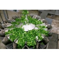 Multihead Weighers