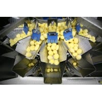 Multihead Weighers