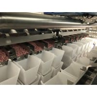 Micarna 2019 The lardons reach the plastic hoppers via vibratory feeders