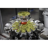 Micro CCW Cannabis